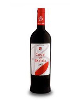 Vino Tinto Casar de Burbia 6 Meses