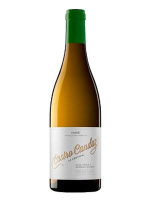 Vino Blanco Castro Candaz La Vertical