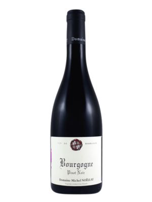 Vino Tinto Michel Noëllat Bourgogne Pinot Noir